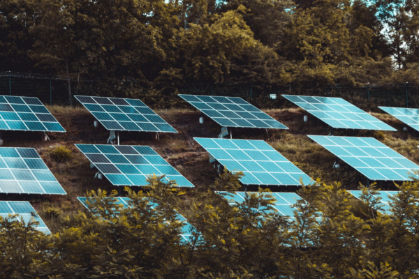 Blue solar panels sit on a hillside surrounded by trees.