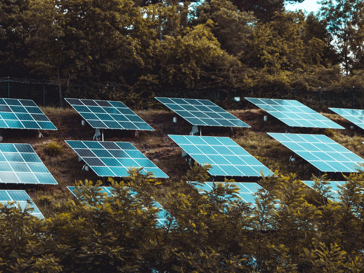 Blue solar panels sit on a hillside surrounded by trees.