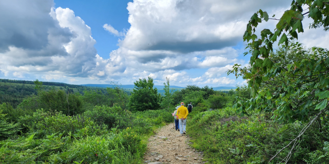 Hikers on a trail in Dolly Sods Wilderness