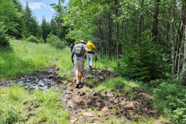 Hikers in Dolly Sods Wilderness traverse a muddy trail