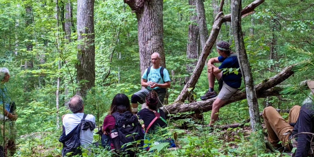 Hikers in Watoga State Park