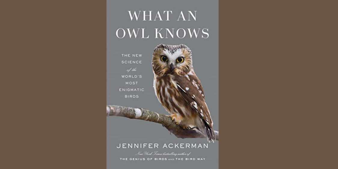 The cover of What an Owl Knows by Jennifer Ackerman