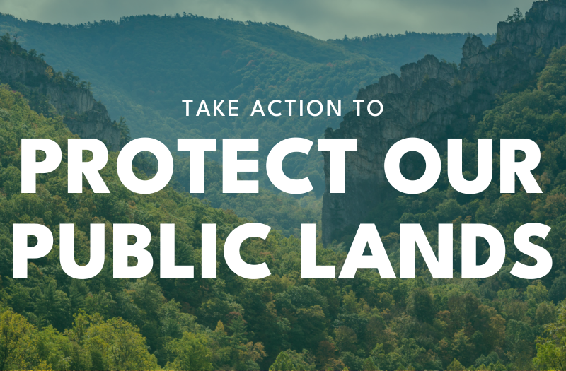 Take Action to Protect Our Public Lands