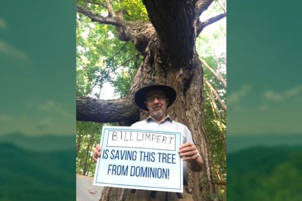 Bill Limpert is saving this tree from Dominion