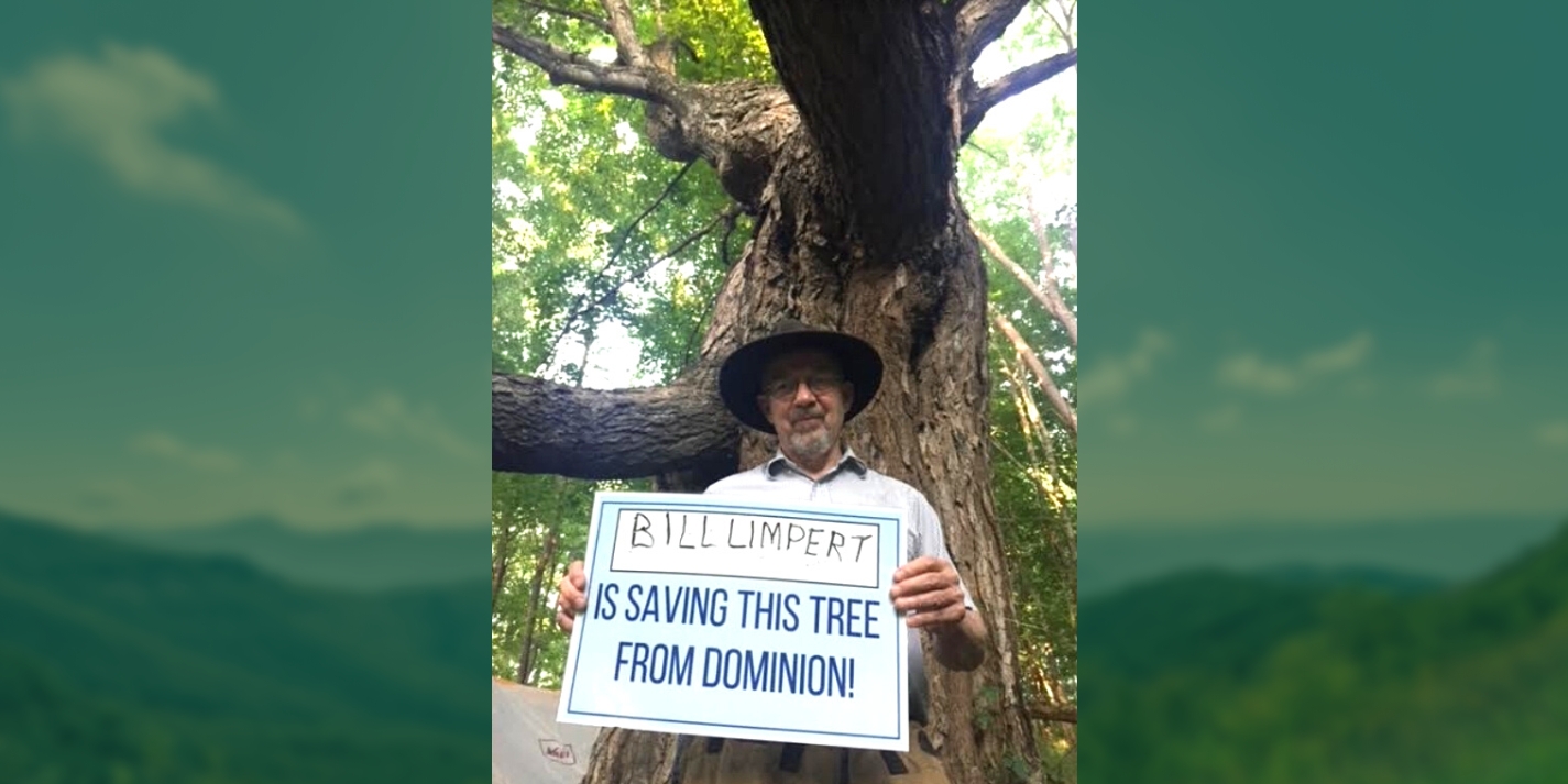 Bill Limpert is saving this tree from Dominion