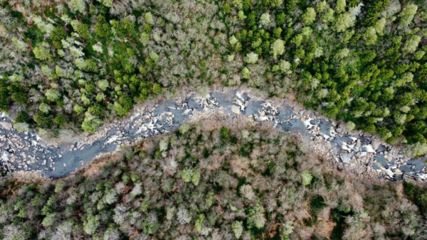 A Birds Eye view of the Blackwater River.