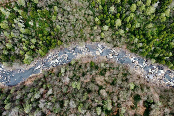 A Birds Eye view of the Blackwater River.