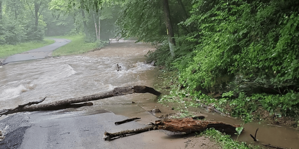 Red Climate Disaster New year, same climate disasters and enemies of the environment - West ...