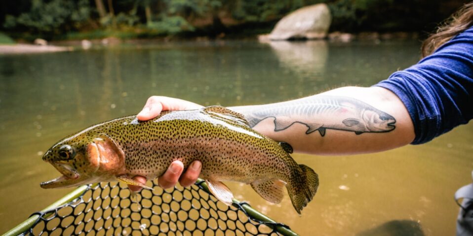 Reeling in responsibility: Why fall is the time to fish smart in West ...