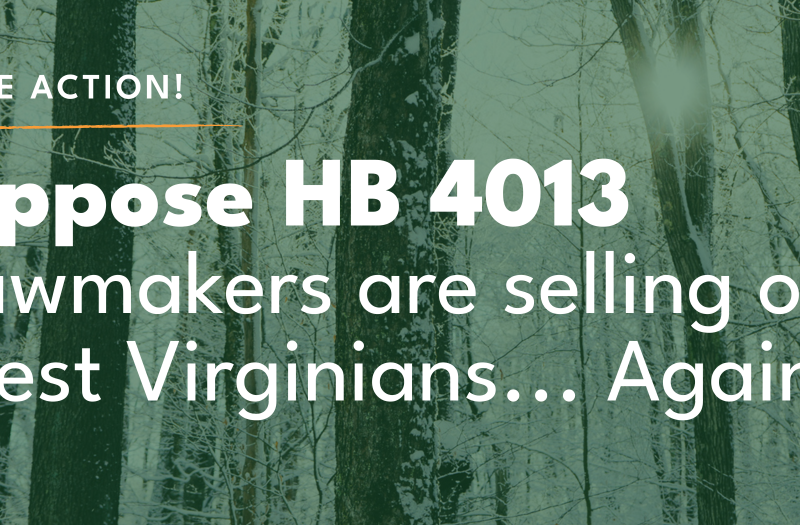 Take Action! Oppose HB 4013. Lawmakers are selling out West Virginians... Again.