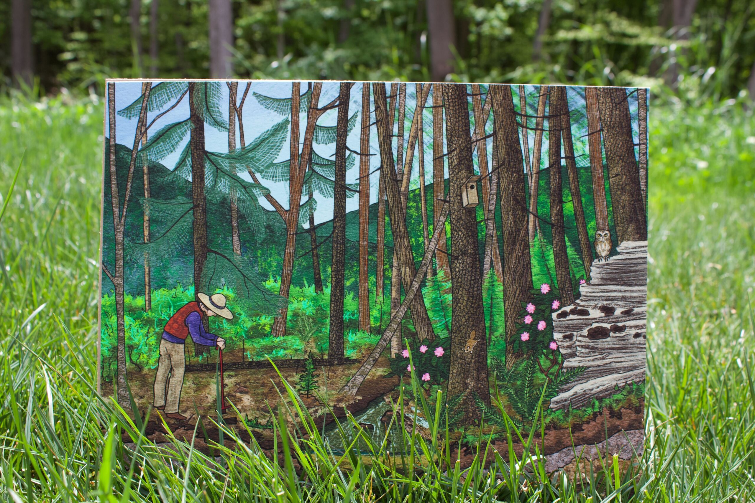 Ecology and Restoration of Red Spruce Ecosystems of the Central and Southern Appalachians Cover Art Print