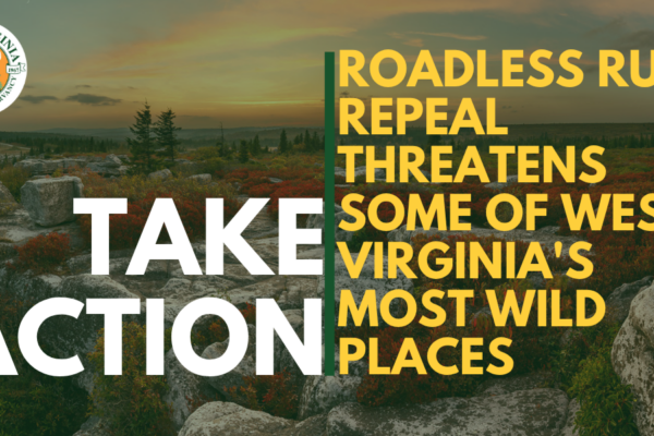 Take Action. Roadless Rule repeal threatens some of West Virginia's most wild places