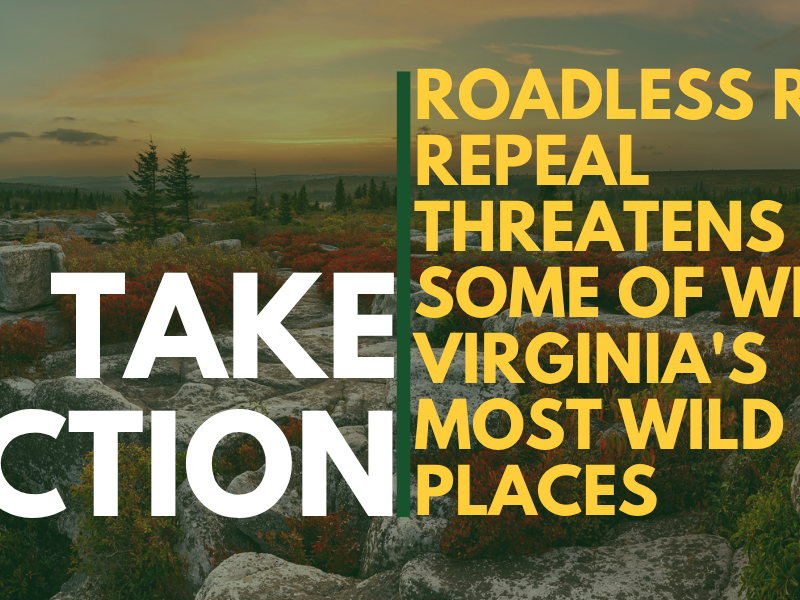 Take Action. Roadless Rule repeal threatens some of West Virginia's most wild places